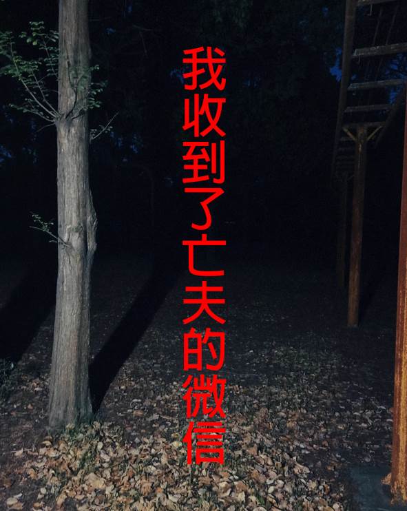 我收到了亡夫的微信